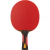 Ракетка для н/т DOUBLE FISH 7A+C, для професс.,ITTF Appr.,накл.2,1мм,+ 2 мяча V40+мм ITTF Appr за 3&nbsp;559.80 ₽ купить в Нижневартовске
