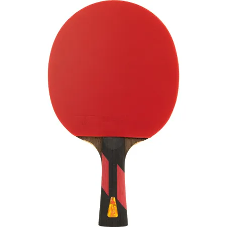 Ракетка для н/т DOUBLE FISH 7A+C, для професс.,ITTF Appr.,накл.2,1мм,+ 2 мяча V40+мм ITTF Appr за 3&nbsp;559.80 ₽ купить в Нижневартовске