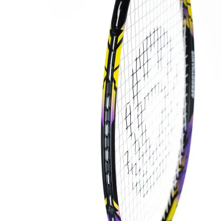 Ракетка бадм. TORRES Carbon PRO6, BD20521,для продв., стерж/обод из карбона,со струнами, фиол за 4&nbsp;477.80 ₽ купить в Нижневартовске