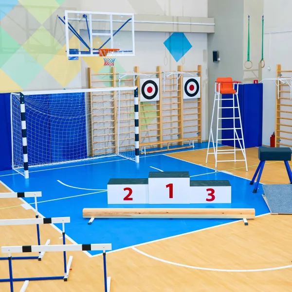 Щит для метания навесной на шведскую стенку (фанера) 700х700 ZAVODSPORTA за 8&nbsp;960 ₽ в Нижневартовске
