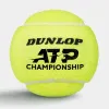 Мяч теннисный Dunlop ATP Championship 4B, 601627, уп.4ш, одобр. ITF, нат.резина,фетр. за 1&nbsp;242.70 ₽ купить в Нижневартовске