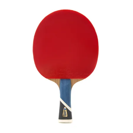 Ракетка для н/т DOUBLE FISH 5A+C, для продвин, ITTF Appr, накл. 2,1 мм, конич. ручка+ 2 мяча V40+мм за 2&nbsp;779.50 ₽ купить в Нижневартовске