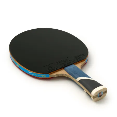 Ракетка для н/т DOUBLE FISH 5A+C, для продвин, ITTF Appr, накл. 2,1 мм, конич. ручка+ 2 мяча V40+мм за 2&nbsp;779.50 ₽ купить в Нижневартовске