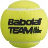 Мяч теннисный BABOLAT Team All Court,502081, уп.4 шт,одобр.ITF, сукно, нат.резина,желтый за 2&nbsp;385.10 ₽ купить в Нижневартовске