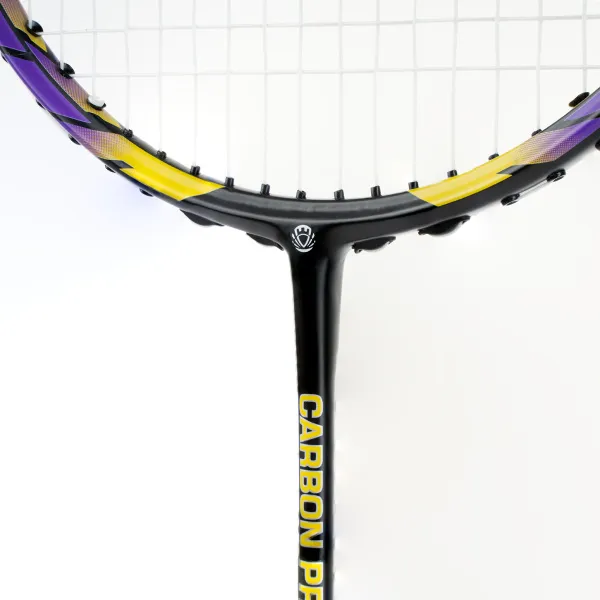 Ракетка бадм. TORRES Carbon PRO6, BD20521,для продв., стерж/обод из карбона,со струнами, фиол за 4&nbsp;477.80 ₽ в Нижневартовске