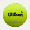Мяч для падела Wilson Premier Padel Speed, WR8908501001, уп.3 шт, FIP Appr.,сукно, нат.резина,желтый за 1&nbsp;235.90 ₽ купить в Нижневартовске