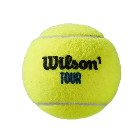 Мяч теннисный WILSON Tour Premier All Court, WRT119400, одобр.ITF, фетр, нат.резина,. уп.4 шт за 1&nbsp;676.20 ₽ купить в Нижневартовске