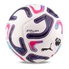 Мяч футб. PUMA Stellar Goal PL Reactivity, 08519301, р.5, 16п, ТПУ, маш. сш, бело-фиолетово-розовый за 6&nbsp;291.70 ₽ купить в Нижневартовске