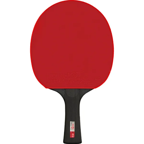 Ракетка для н/т DOUBLE FISH Black Carbon King Racket 3***, для професс.,ITTF Appr.,накл.2,1,мм за 4&nbsp;346.90 ₽ в Нижневартовске